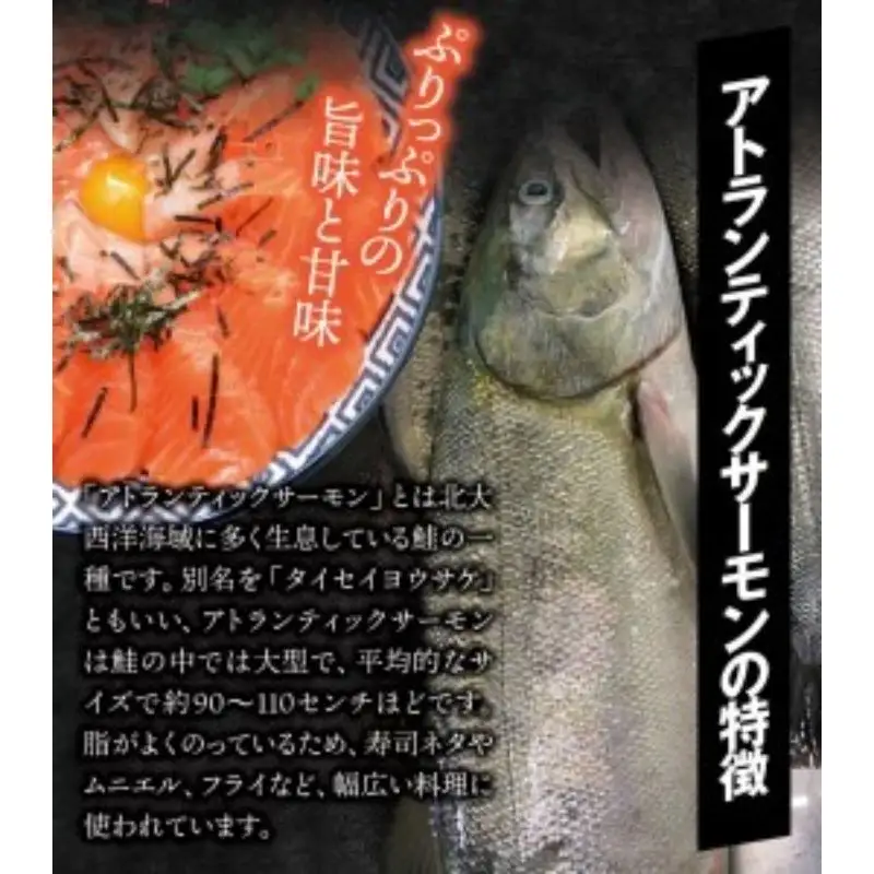 タスマニア産サーモンブロック 3～4ブロック 合計600g サーモン 鮭 さけ 刺身 さしみ 冷凍 オーストラリア産 【nks701A】
