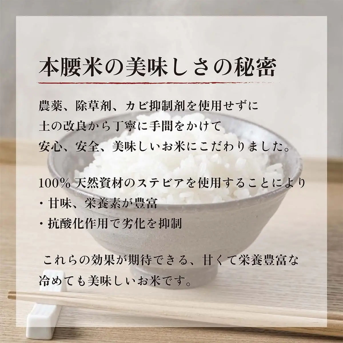 令和8年産 本腰米10kg 玄米 千葉県産コシヒカリ 【 ふるさと納税 農薬不使用 お米 10kg 千葉県産 大網白里市 コシヒカリ 農薬不使用 米 玄米 こめ 送料無料 】F006