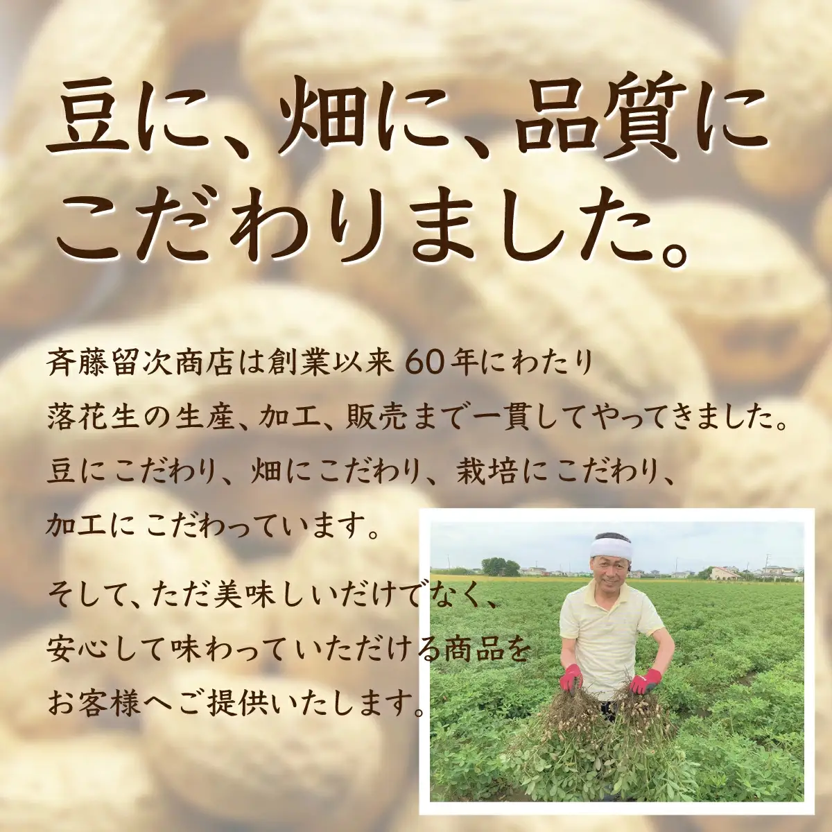 千葉県 大網白里市産 落花生千葉半立、Qナッツさやつき煎り豆6袋セット