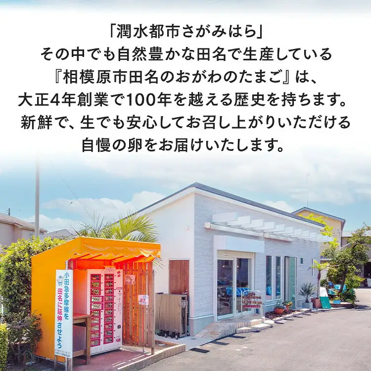 相模原市田名のおがわのたまご　ピンク卵（Mサイズ）75個＋割れ補償5個入り（計80個） 国産 濃厚 コク 旨味　鶏卵｜たまご