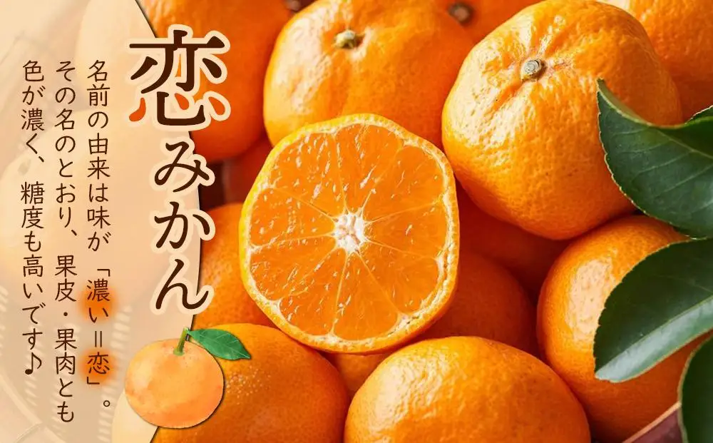 長崎恋みかん 5kg＜期間限定／先行予約＞【2026年11月中旬以降順次発送】｜みかん
