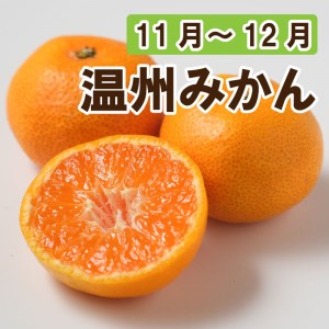 定期便 4回 4ヶ月 愛媛 みかん ポンカン 不知火 しらぬい ネーブルオレンジ なつみ ブラッドオレンジ 河内晩柑 愛南 ゴールド 柑橘 かんきつ フルーツ 果物 くだもの 数量 季節 限定 旬 セット 詰め合わせ 国産
