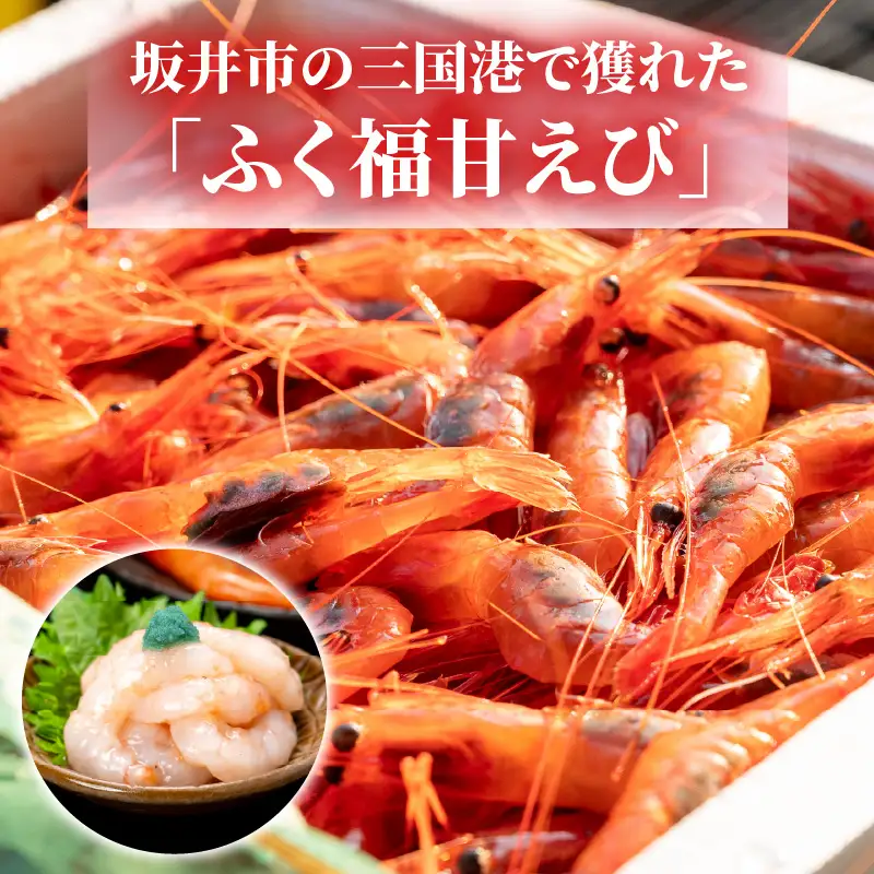 【化粧箱入り】【訳あり】ふくい甘えび（真空冷凍）300g × 2パック 計600g 無添加・無着色 アマエビ えび 海老 [A-13516]