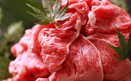 丹波篠山肉の東門 お助け便利スライス切り落とし 小分けちゃん300g×2パック AB32 産直 精肉店直送 高級 ハレの日 贅沢 グルメ 美味しい 冷凍配送 冷凍食品