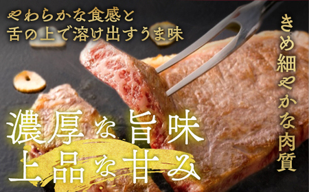 亀岡牛リブロース ステーキ 200g×3枚 ステーキ