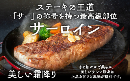 牛肉 亀岡牛 サーロインブロック 600g  牛肉 国産