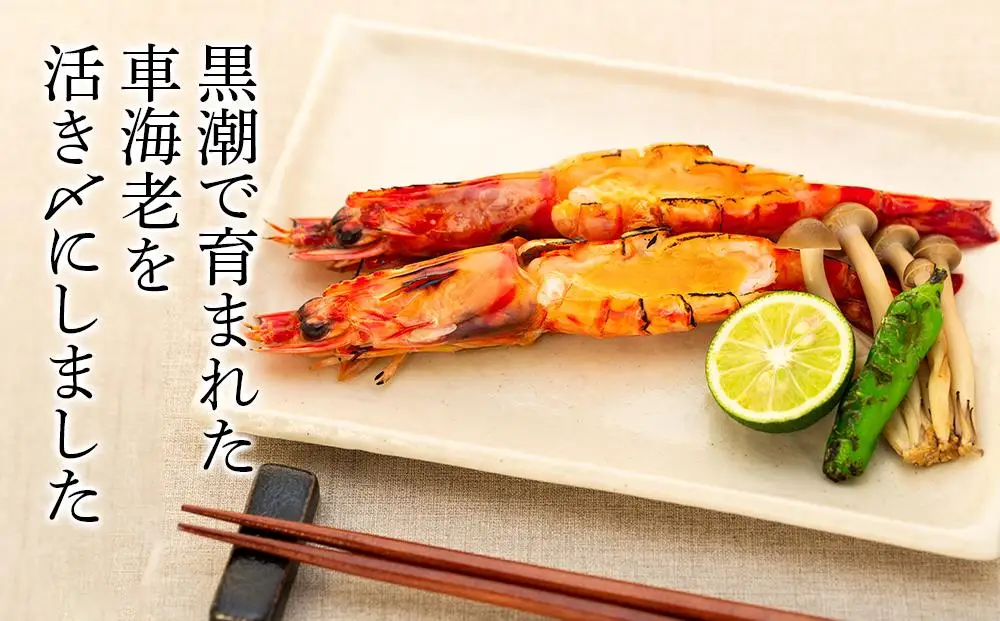 鹿児島県産 活き〆冷凍 車海老（養殖）3Lサイズ 計600g（300g 7～9尾×2パック）セット【 車エビ】