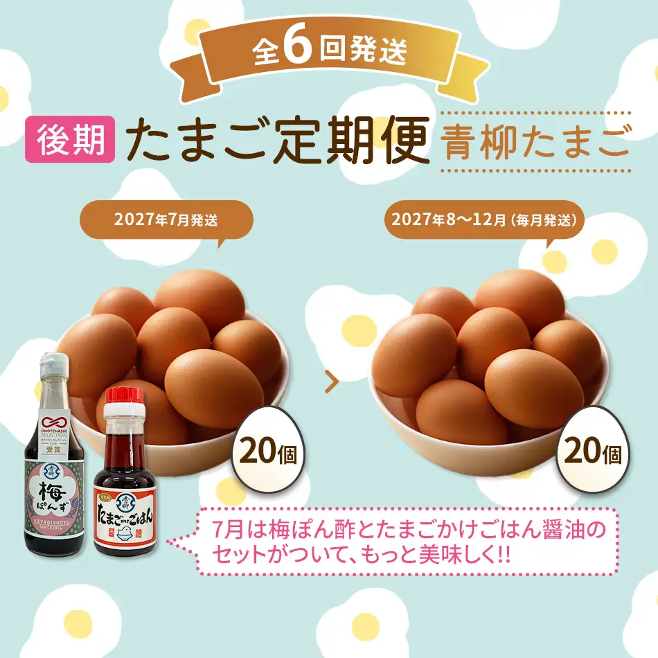 たまご後期定期便 6回発送（初回のみ醤油付き・たまご20個）20個×6回 合計120個 定期便 6ヶ月 卵 青柳たまご 送料無料 【2027年7月～12月の計6回お届け】