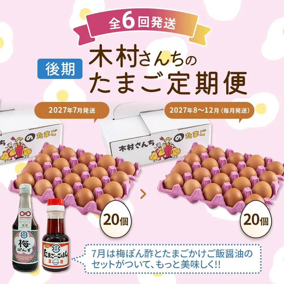 木村さんちのたまご後期定期便 6回発送（初回のみ醤油付き・たまご20個 M～L）20個×6回 合計120個 定期便 6ヶ月 卵 赤玉 送料無料 【2027年7月～12月の計6回お届け】