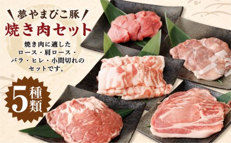 「夢やまびこ豚」焼肉セット 1.0kg | 豚肉 肉 詰め合わせ セット 焼肉用 焼き肉 BBQ 小分け 真空パック 冷蔵 送料無料