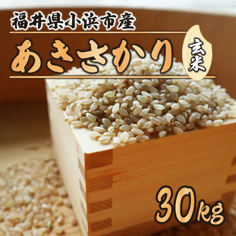 【令和8年産】福井県産あきさかり 玄米 30kg 若狭の恵 玄米 [BFAG015]