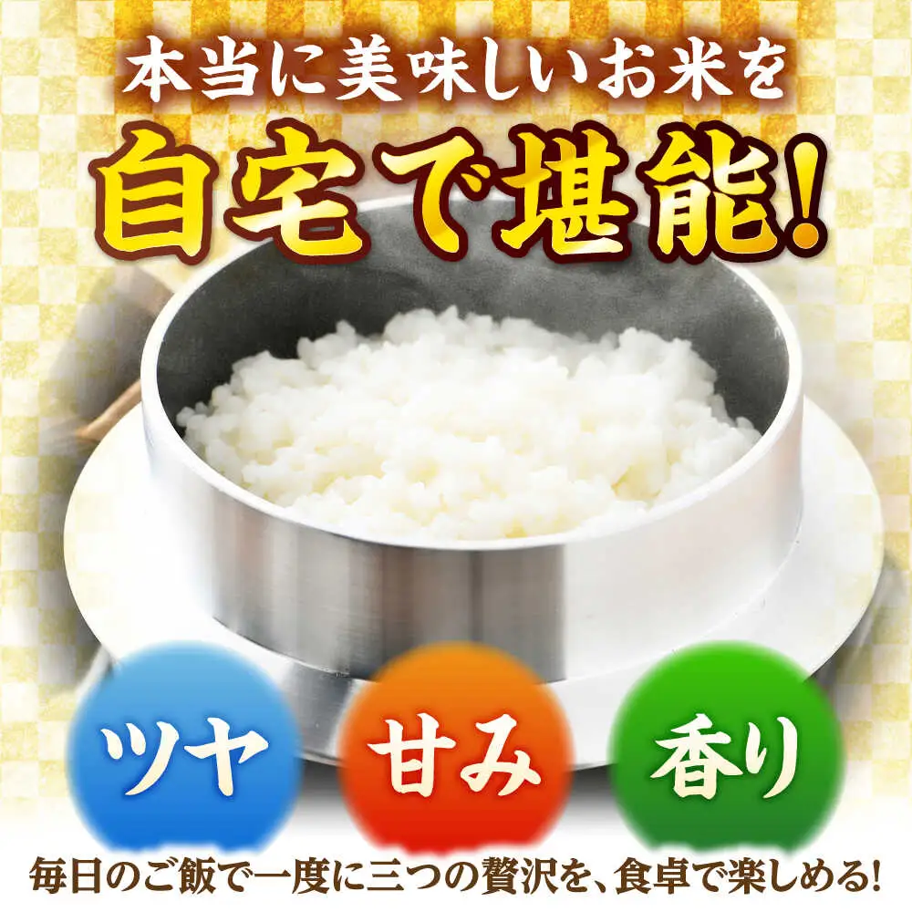 【令和7年産】真空パック 福井県産こしひかり 300g(約2合) × 10パック 計3kg 小浜市 / シマダ農園 [BFAV004]