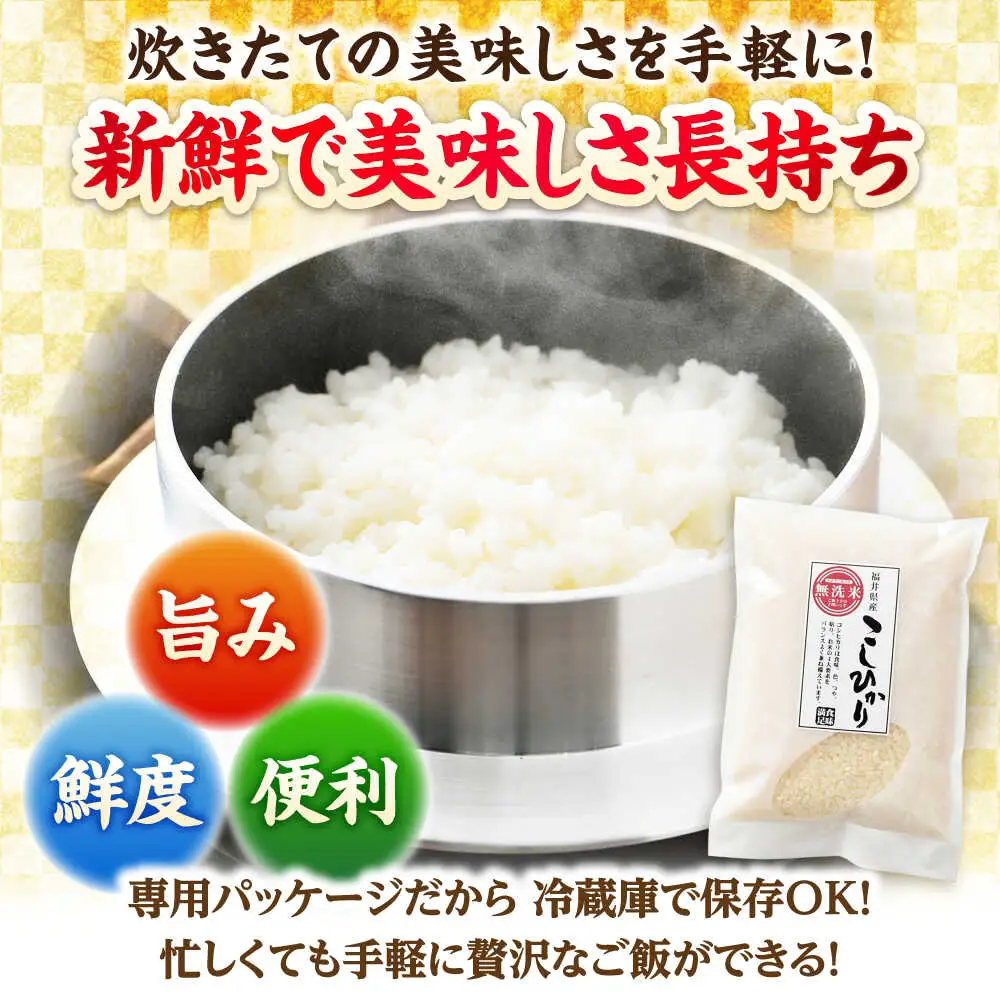 【令和7年産】無洗米 福井県産こしひかり 300g(約2合) × 10パック 計3kg  小浜市 / シマダ農園 [BFAV003]
