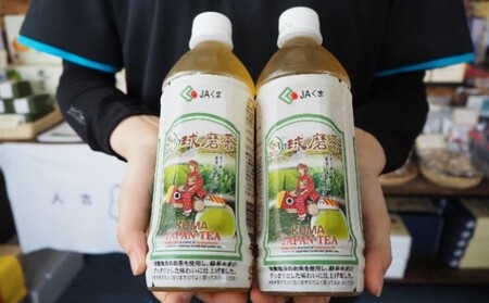 球磨茶 緑茶 ペットボトル 球磨茶【500ml×24本】【送料無料】