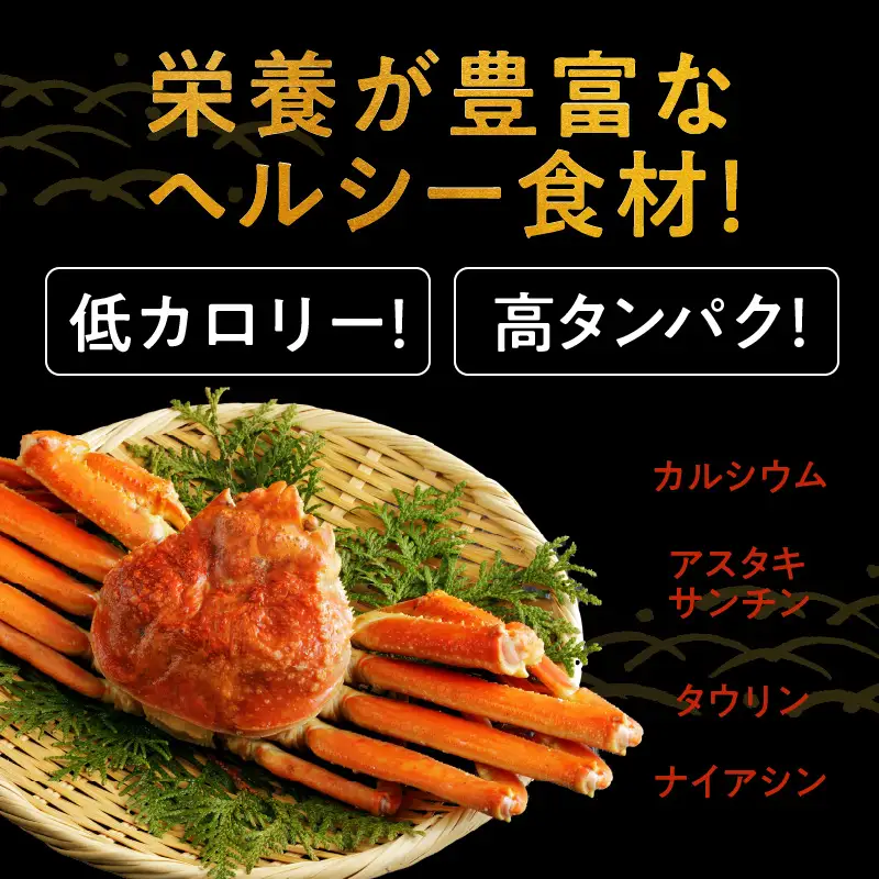 殻剥き不要 ズワイガニ 棒肉 ポーション 合計 500g（10本以上）特大サイズ 加熱用