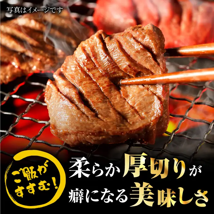 【全12回定期便】黒毛和牛 厚切り熟成牛タンステーキ 700g タン たん ステーキ [FCJ069]