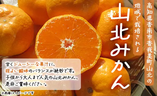 訳あり みかん 5kg 山北みかん 小玉 th-0030