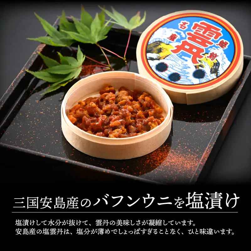 三国安島産 塩雲丹 30g 珍味 ウニ 塩うに ご当地 [B-12603]