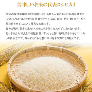 コシヒカリ パックライス 山形県庄内産 180g × 24P　| コシヒカリ こしひかり 米 お米 コメ ライス ごはん ご飯 パックご飯 白飯 白米 食品 お手軽 レンジ 湯煎 一人暮らし 常温保存 備蓄 非常食 保存食 防災 ローリングストック 山形県 鶴岡市 返礼品