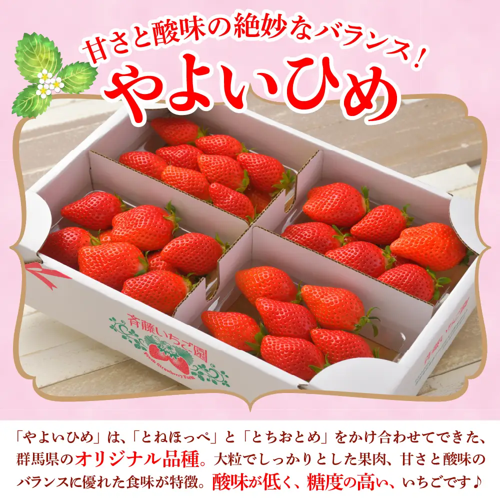 【クール便】2027年5月発送 いちご やよいひめ 約340g×4