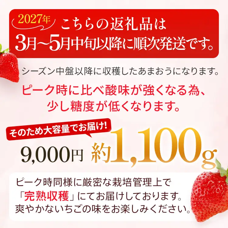 いちご あまおういちご 約275g×4P R9年3月～5月中旬順次発送