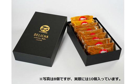 カレー DELICHA オリジナルカレーセット 10食入り  BTBM009