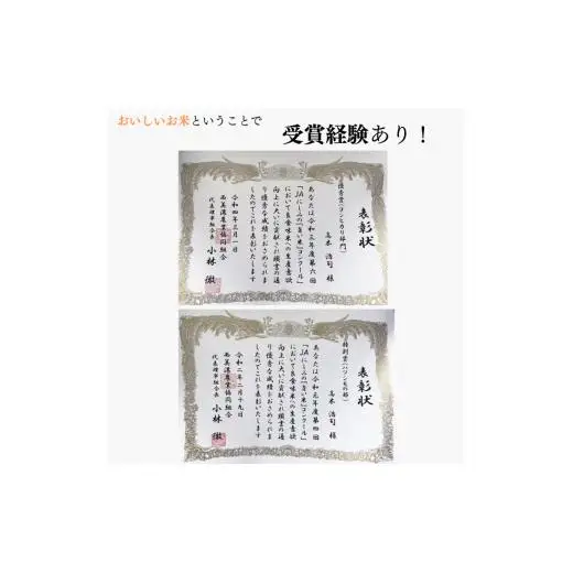 【特別栽培米】垂井町産ハツシモ10kg 2025/9/19～