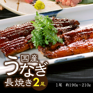 家計応援　国産 うなぎ 鰻　バチマグロ ビンチョウマグロ まぐろ たたき　総重量約1.9kg (a35-017)