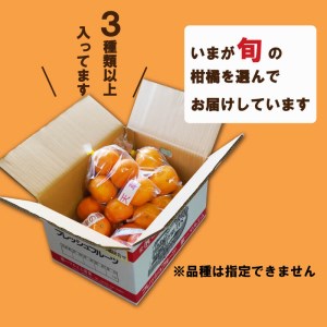 定期便 4回 季節 柑橘 みかん 詰め合わせ 第一マルエム 減農薬 はるか あまか ポンカン 伊予柑 ネーブル 文旦 みかん 新女王 黄金柑 清見 甘夏 御荘ゴールド みかん 河内晩柑 タロッコ レモネード みかん 愛媛県 愛南町