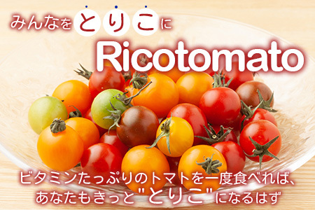 【先行受付】2027年1月より順次発送予定｜カラフルミニトマト6種1kg｜ミニトマト トマト プチトマト 野菜 農家直送 ギフト ｜佐賀県鹿島市｜たにぐちファーム Ricotomato（リコトマト）～とりこになるトマト～ B-280