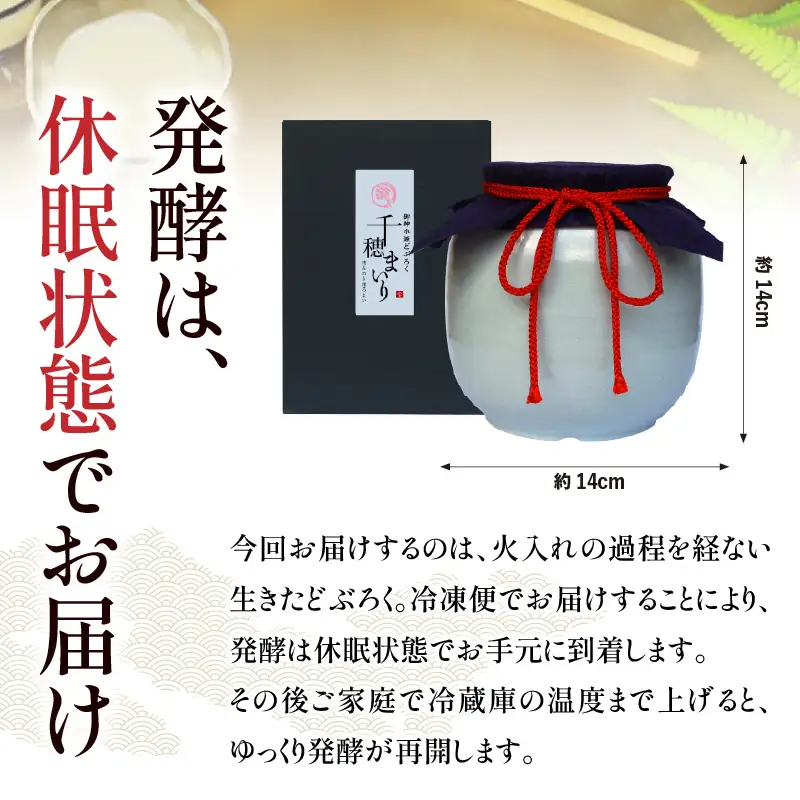 【甘口（千穂まいり　度数：8度）】御神水源どぶろく 900ml×1本 生酒 火入れなし自宅で 熟成発酵できる オリジナルの味が楽しめる 生 どぶろく どぶろく お酒 酒 アルコール 晩酌 化粧箱 化粧箱入り 箱入り 贈答 贈り物 ギフト プレゼント 宮崎県 高千穂町 _Tk015-012-ama