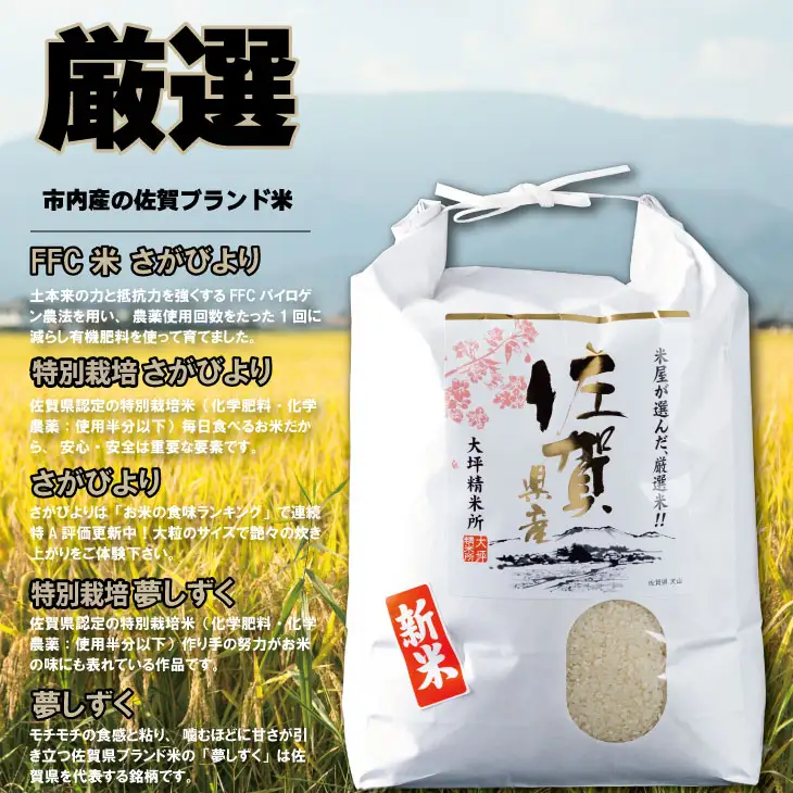 【定期便】 (12ヶ月連続お届け) 大坪精米所 佐賀ブランド米定期便（5kg×12回） 特A評価のブランド米 Q192-003