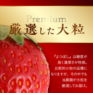 池田農園の完熟よつぼしプレミアムギフト (380g×2パック)　計760g 〔Fi111〕