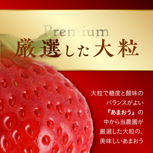 池田農園の完熟あまおうプレミアムギフト 〔Fi045〕