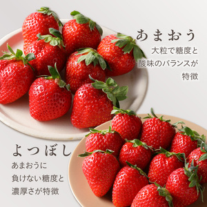 池田農園の完熟あまおう＆完熟よつぼし食べ比べセット 〔Fi046〕