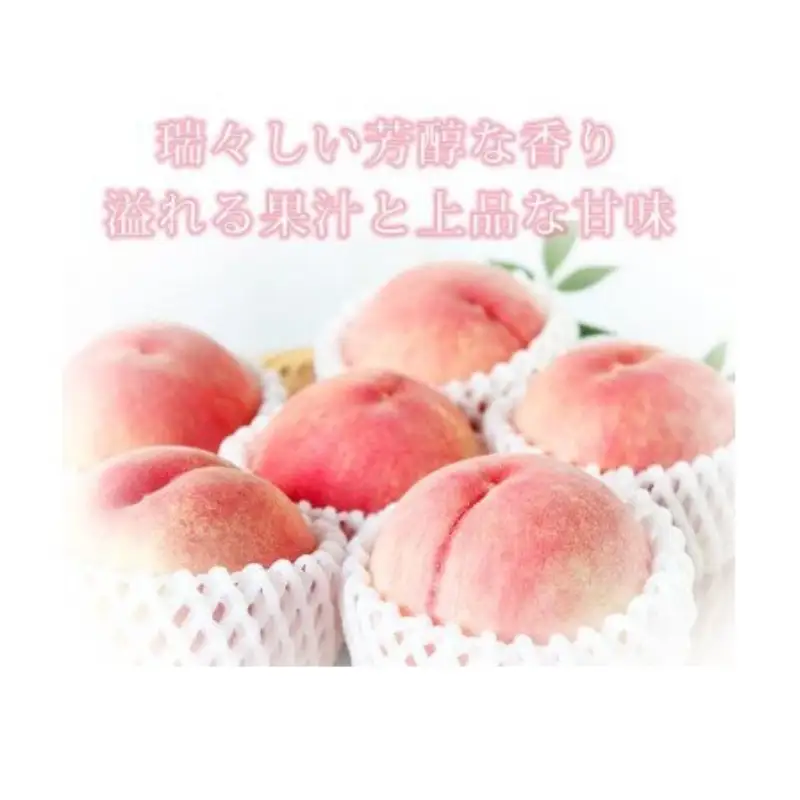 桃 秀品　紀州和歌山産の桃　３玉　化粧箱入【2026年6月下旬頃～2026年8月上旬頃に順次発送予定】【UT105】【Z91061-uot750】