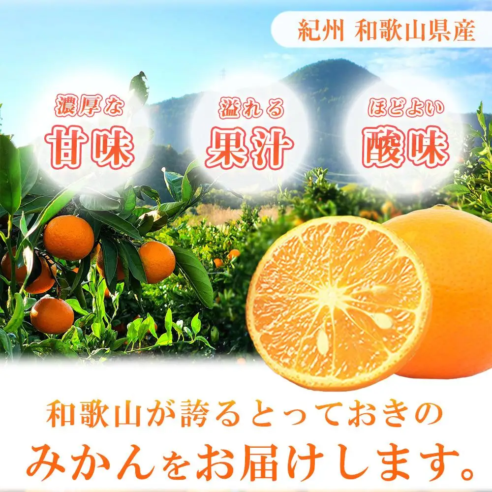 初夏のみかん　なつみ3kg［2027年4月中旬以降発送］［先行予約］［UT56］