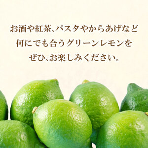 レモン 約 3kg 24個 柑橘 檸檬 牡蠣 フライ レモンティー 愛媛 愛南 マルエム直販