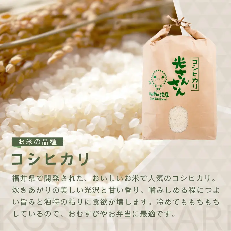 先行予約 令和8年産・新米 コシヒカリ 5kg 上白米 福井県産コシヒカリ  [A-0267_01]