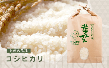 先行予約 令和8年産・新米 コシヒカリ 5kg 5分づき ぶづき精米 福井県産コシヒカリ [A-0267_03]