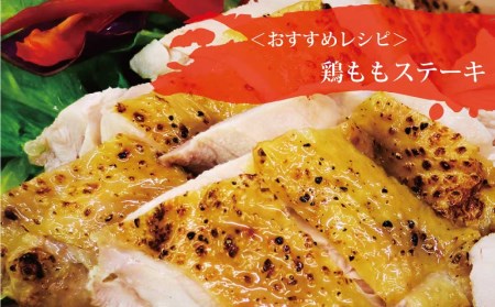 【定期便3回】阿波彩どり もも肉・むね肉 各2kg