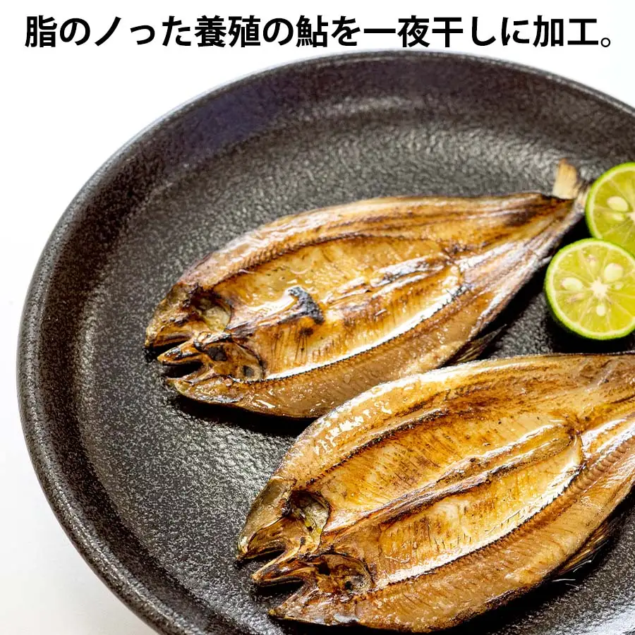 鮎の一夜干し 8尾