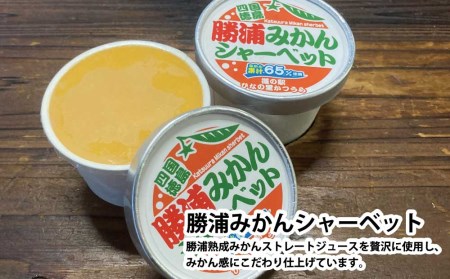 ご当地アイスセット