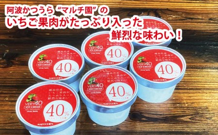 VERY40% マルチ園のいちごアイスクリーム 6個