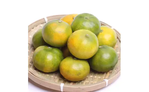 【ふるなびWeek対象】鹿蔵 プレミアム 有田みかん ( ゆら早生 ) 1kg+250g（傷み補償分） 光センサー 選果　※北海道・沖縄・離島への配送不可 ※10月上旬〜11月中旬頃に順次発送予定 / 温州みかん 秀品  柑橘  和歌山 【ikd003-prem-1A-fw】