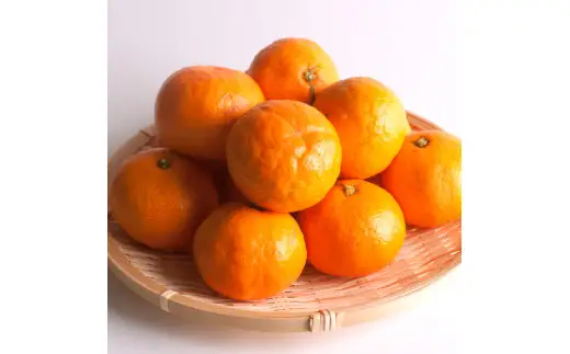 鹿蔵 プレミアム 有田 みかん 1kg+250g（傷み補償分）(完熟)  / 温州みかん 有田みかん 光センサー 選別 甘い  和歌山 柑橘 ※2026年10月上旬～11月中旬頃に順次発送予定 ※北海道・沖縄・離島への配送不可 【ikd004-prem-1B】