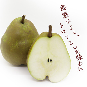 令和8年産 さがえ産の厳選 ラ・フランス 3kg（8 - 11玉）2L 以上 山形県産 【2026年11月上旬頃から12月下旬頃発送予定】　012-B-OT001