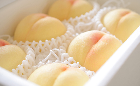【限定50箱】冬桃がたり（白桃）約230g×3玉 桃 岡山 フルーツ 果物 先行予約 数量限定 期間限定 里庄町 モモ もも 