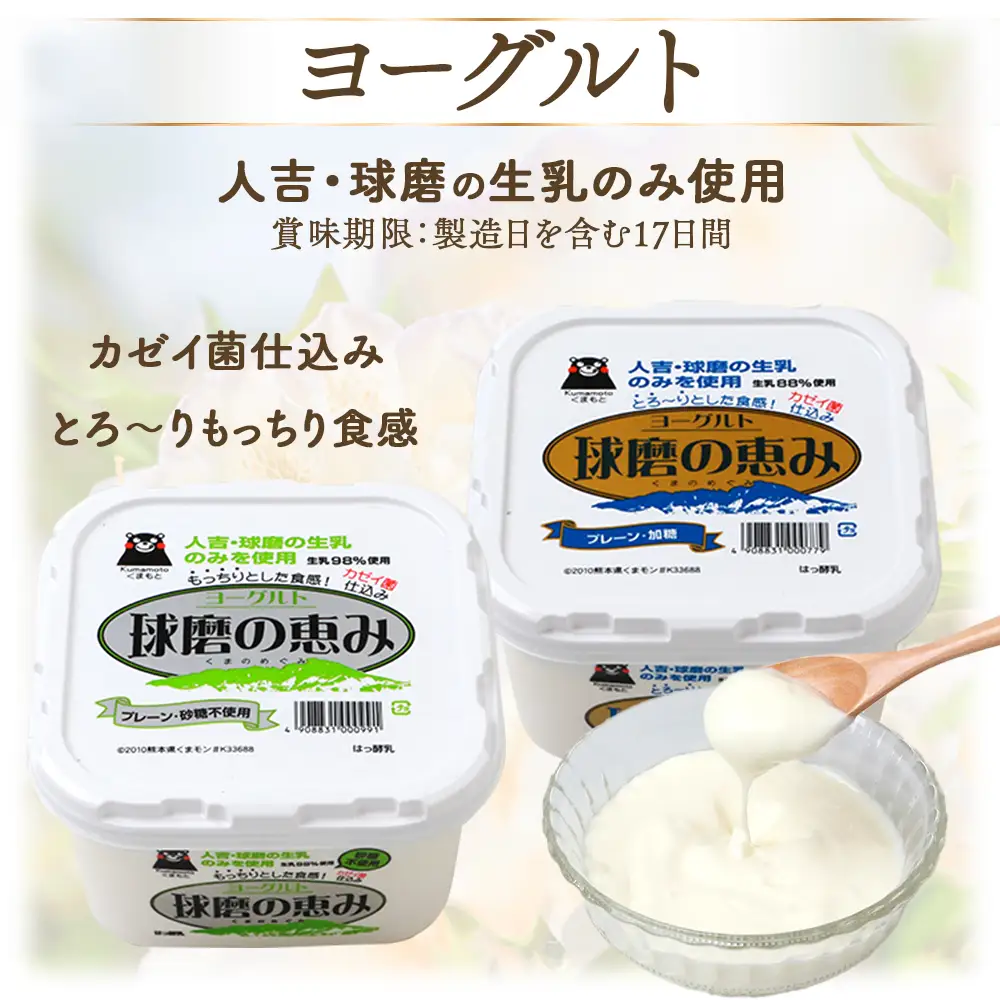 球磨の恵み ヨーグルト 加糖・砂糖不使用 1000g×各2個セット 合計4kg【 新鮮 生乳使用 とろーり もっちり 加糖ヨーグルト 砂糖不使用 プレーンヨーグルト 食べるヨーグルト 】 074-0448