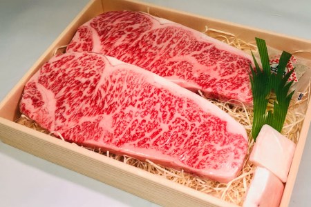 定期便 12回 牛肉 雲仙育ち おがわ牛 A5 サーロインステーキ 総計4.8kg(400g×12回) [焼肉おがわ 長崎県 雲仙市 item2112] ステーキ 黒毛和牛 冷凍